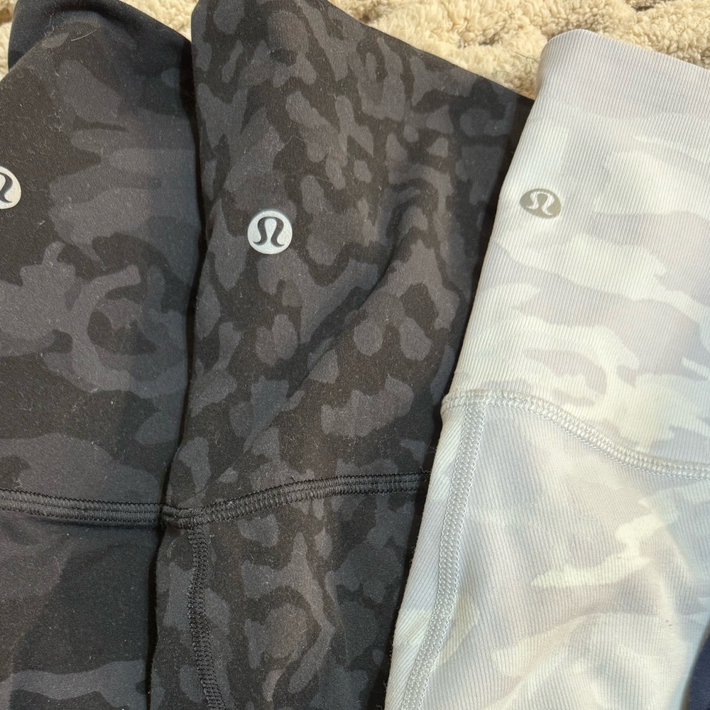 Black leopard SHR aligns size 4